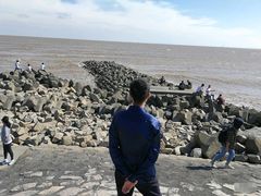 -南汇嘴观海公园