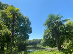 -长广溪湿地公园