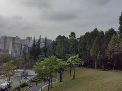 -白石龙音乐公园