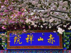 -石岛赤山风景区