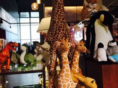 iphone_upload_pic-浙江省科技馆