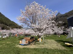 -高岚大峡谷旅游度假区