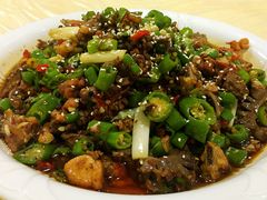 -y牌太安鱼