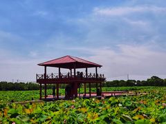 -嘉北郊野公园
