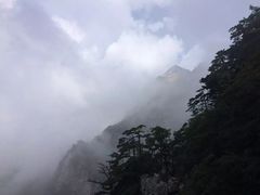 -罗田天堂寨风景区