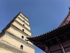 -大慈恩寺(大雁塔)