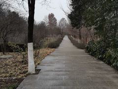 -宝鸡植物园