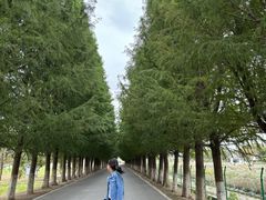 -嘉北郊野公园