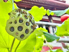 -福州开元寺