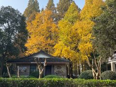 -苏州市公园路幼儿园