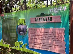 -野象谷景区