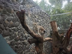 -青藏高原野生动物园