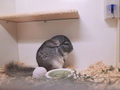 -龙猫仔乐园(惠福东路店)