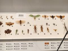 -四川大学博物馆