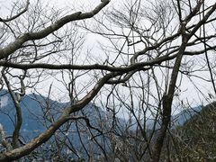 -山王坪喀斯特国家生态公园