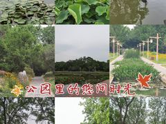 -洛阳市隋唐城遗址植物园