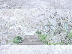 -南山植物园