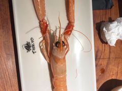 -大渔之观(安贞店)