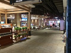 -清河半岛温泉度假酒店