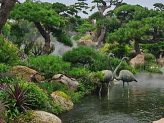 -罗红摄影艺术馆