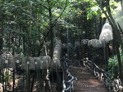 -石燕湖生态旅游景区