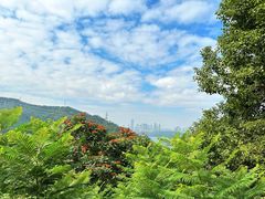-深圳仙湖植物园