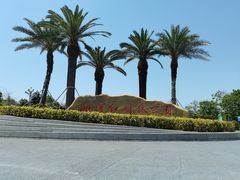 -宝安西湾红树林湿地公园