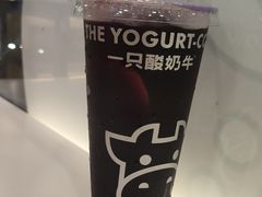 -一只酸奶牛(洪崖洞11楼店)