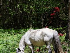 -叠溪松坪沟景区