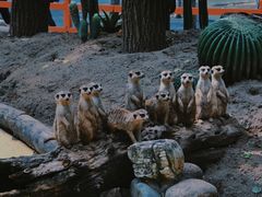 -北京野生动物园