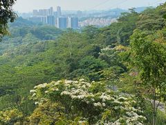 -阳台山森林公园