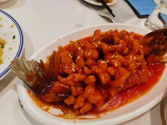 -凯鸽酒楼(水泉湾龙园店)