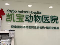 -悦宠凯宝动物医院·牙科·皮肤科(朝阳北路店)