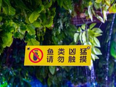 -成都浩海立方海洋公园