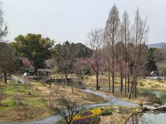-无锡梅园公园