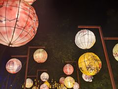 -广西壮族自治区药用植物园