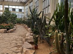 -石家庄市植物园