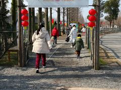 -前小桔亲子创意农场·草莓采摘·露营烧烤