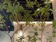 -大榕树下顺德菜(融创茂店)