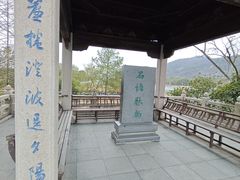 -长广溪湿地公园