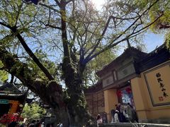 -无锡惠山寺