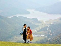 -大姆山草场