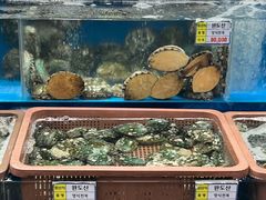 -西归浦每天偶来市场