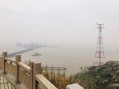 -洋山深水港