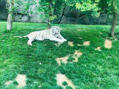 -北京野生动物园