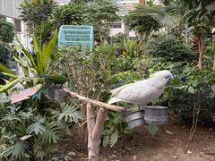 -南宫五洲植物乐园