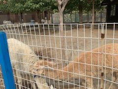 -武汉紫薇都市田园