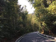 -冶父山国家森林公园