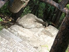 -秦岭终南山世界地质公园翠华山景区