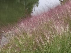 -嘉北郊野公园